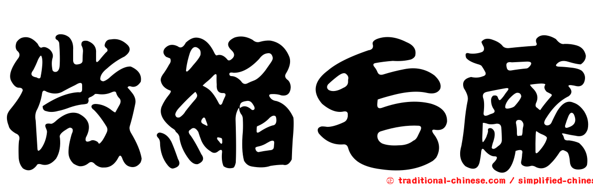 微縮毛蕨