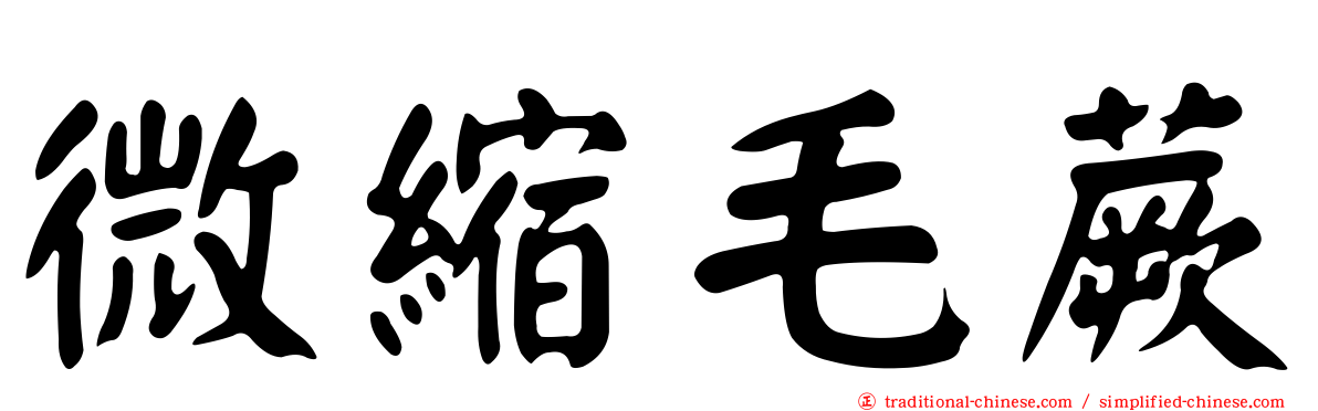 微縮毛蕨