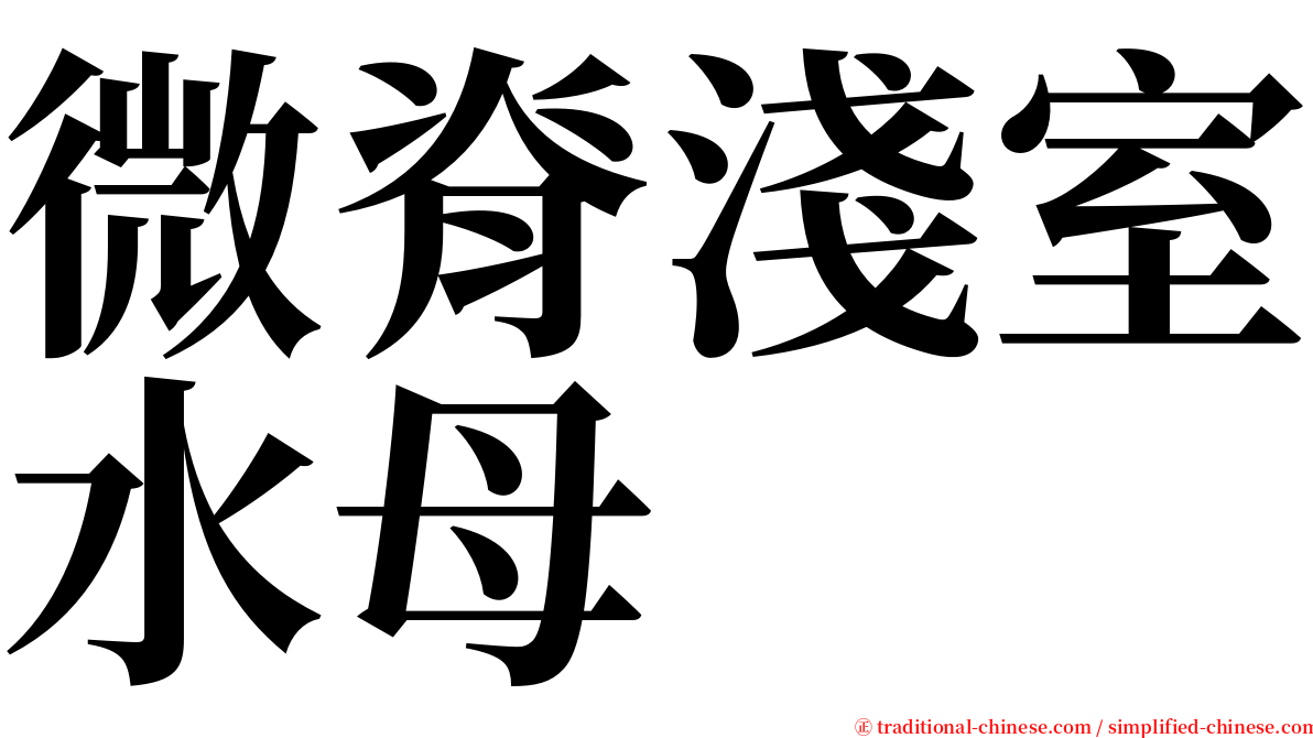 微脊淺室水母 serif font