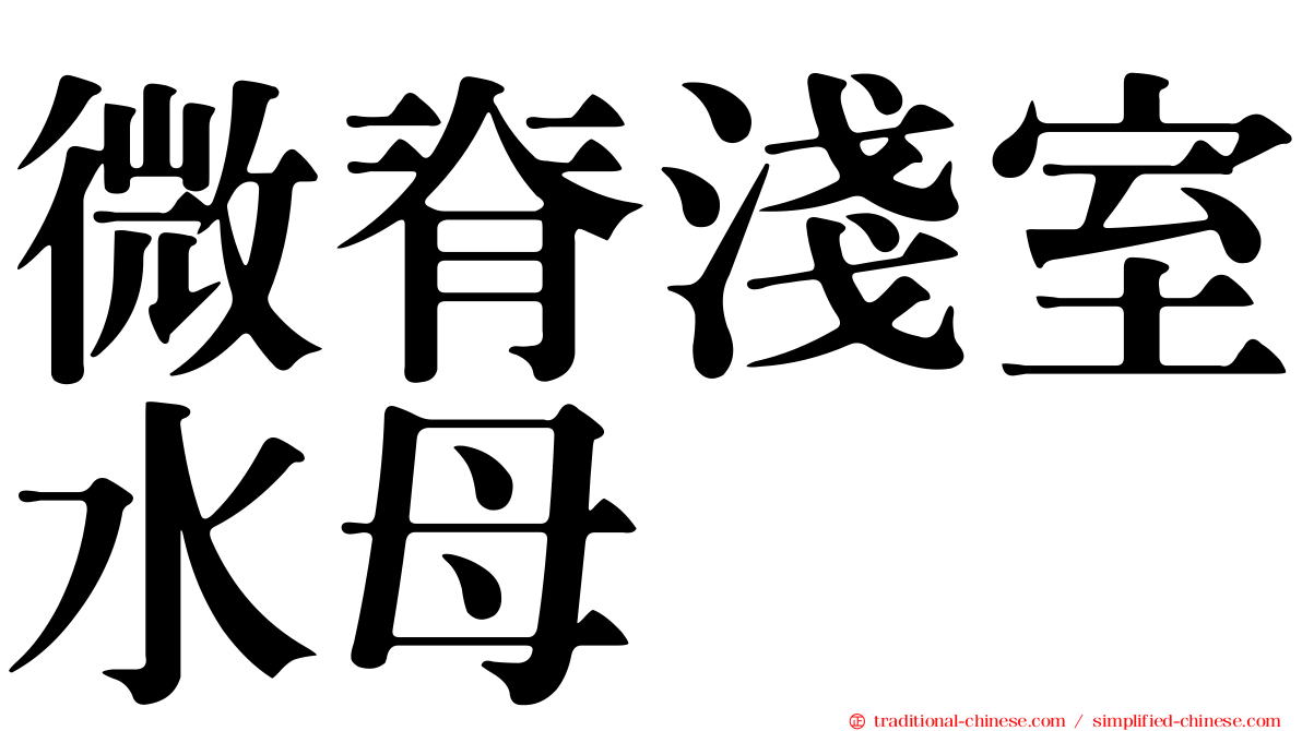 微脊淺室水母