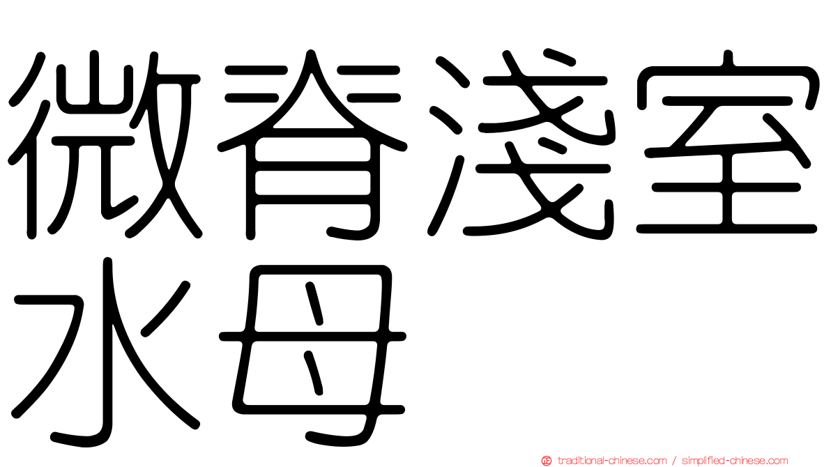 微脊淺室水母