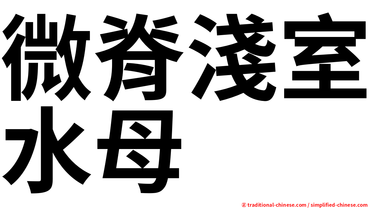 微脊淺室水母