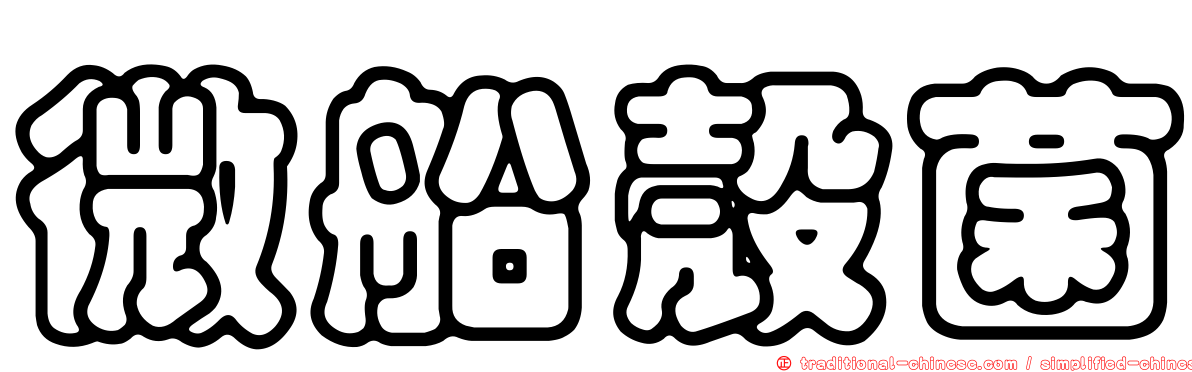 微船殼菌