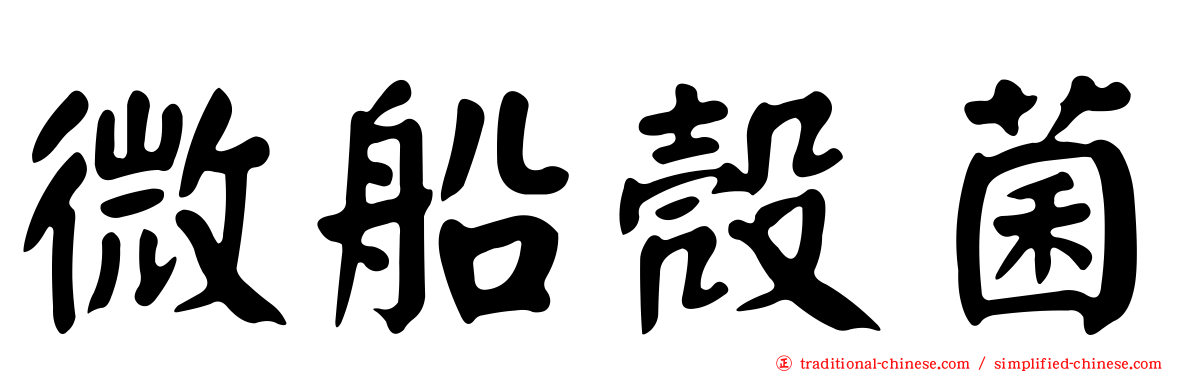 微船殼菌