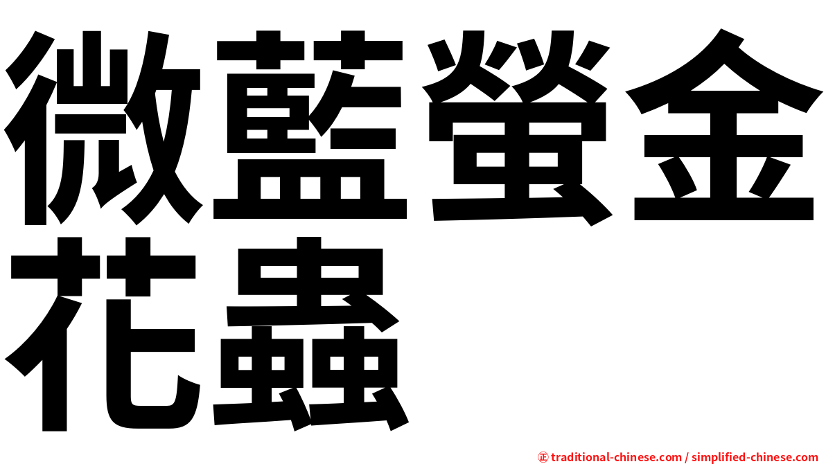 微藍螢金花蟲