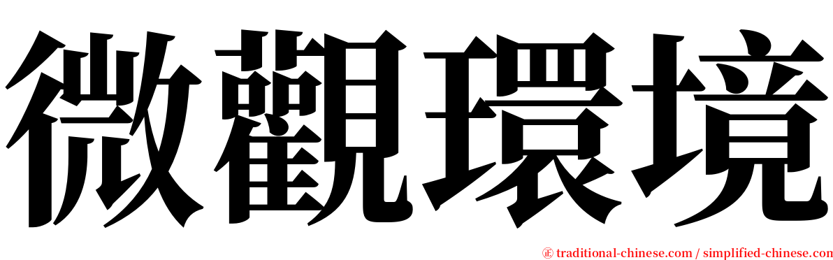 微觀環境 serif font