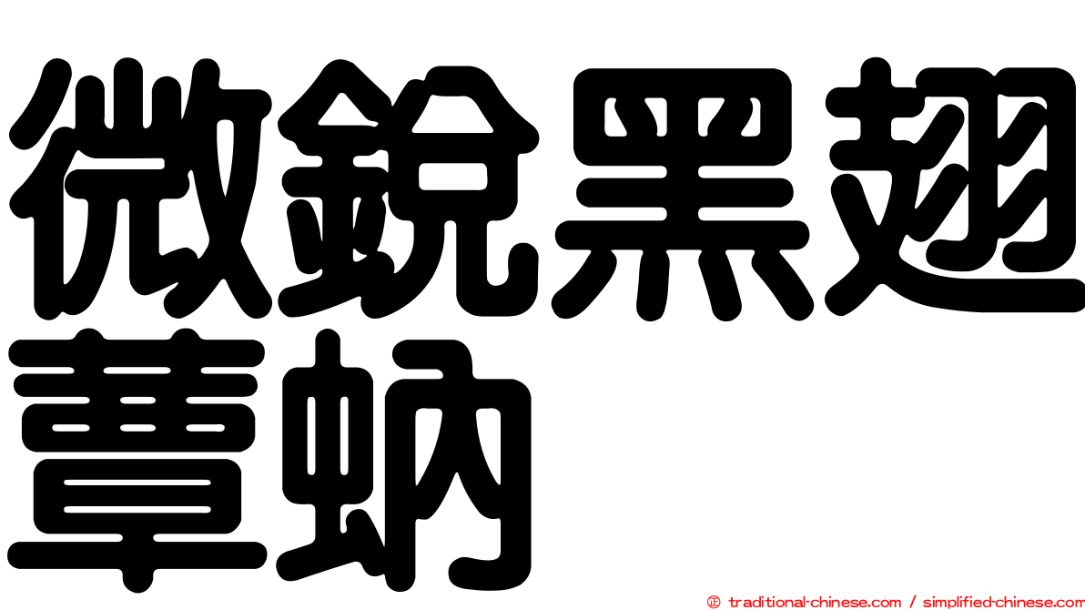 微銳黑翅蕈蚋