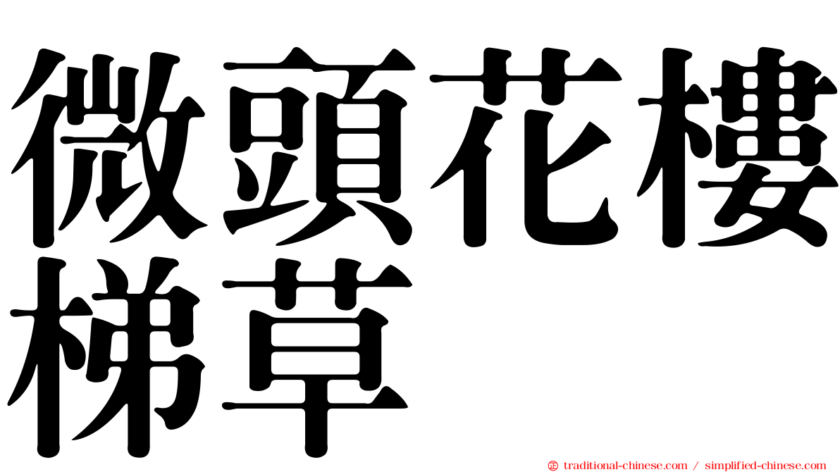 微頭花樓梯草