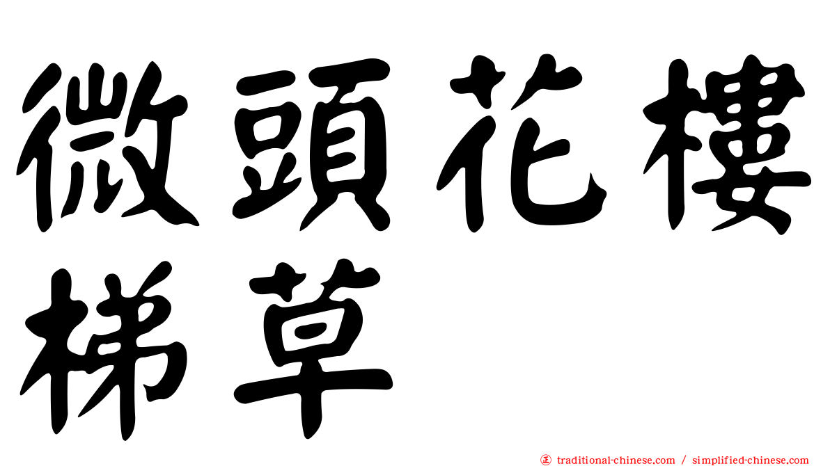 微頭花樓梯草