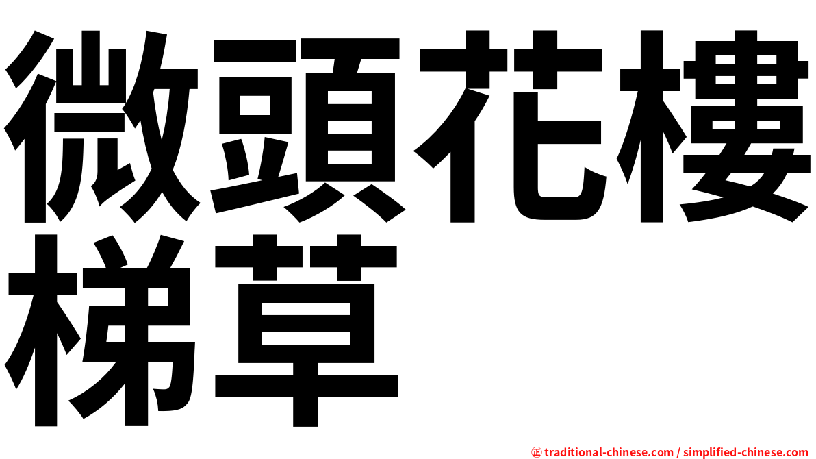 微頭花樓梯草