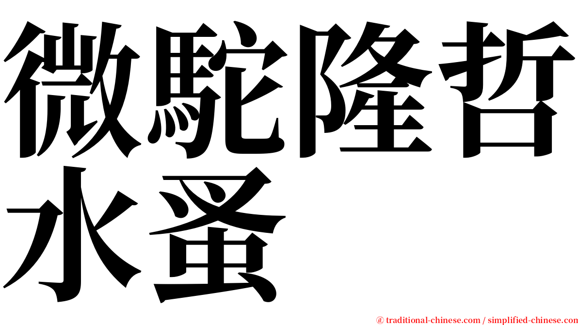 微駝隆哲水蚤 serif font