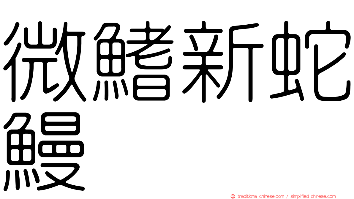 微鰭新蛇鰻