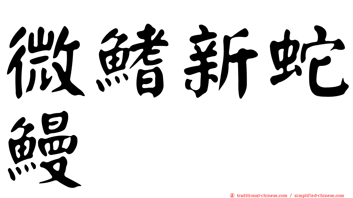 微鰭新蛇鰻