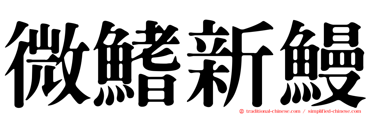 微鰭新鰻