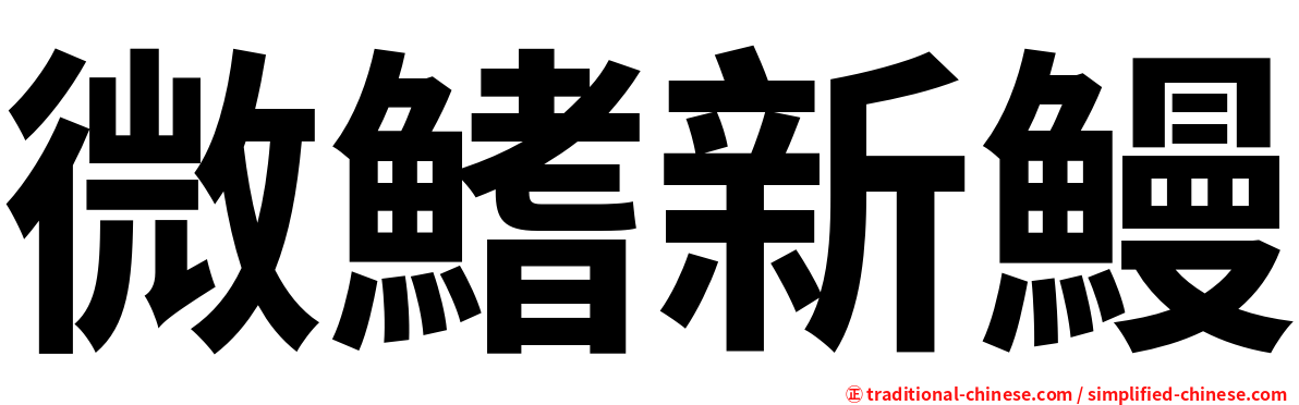 微鰭新鰻