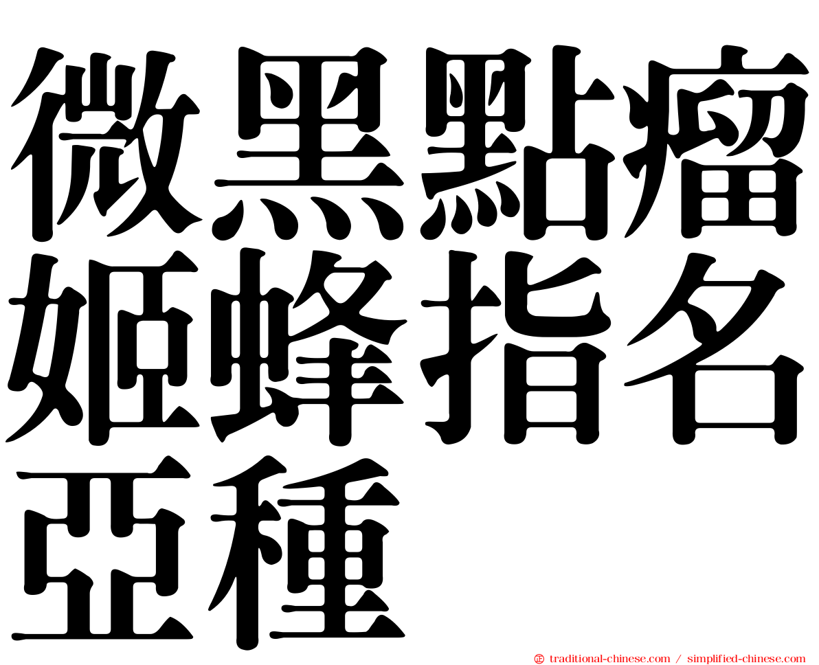 微黑點瘤姬蜂指名亞種