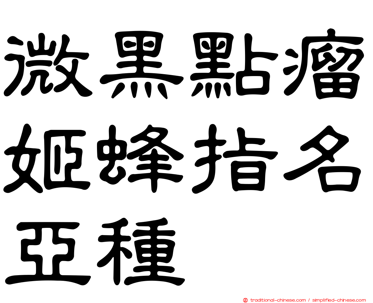 微黑點瘤姬蜂指名亞種