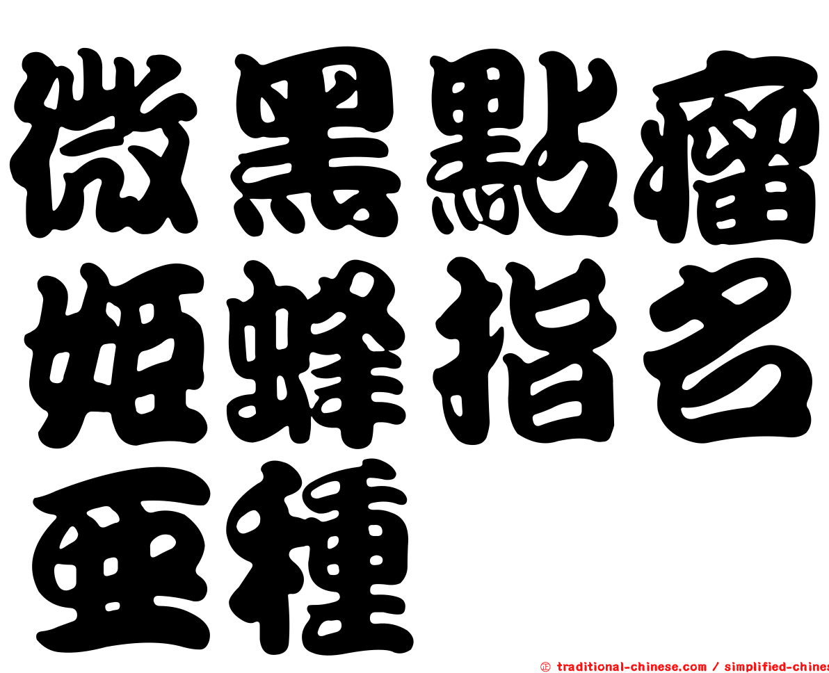 微黑點瘤姬蜂指名亞種