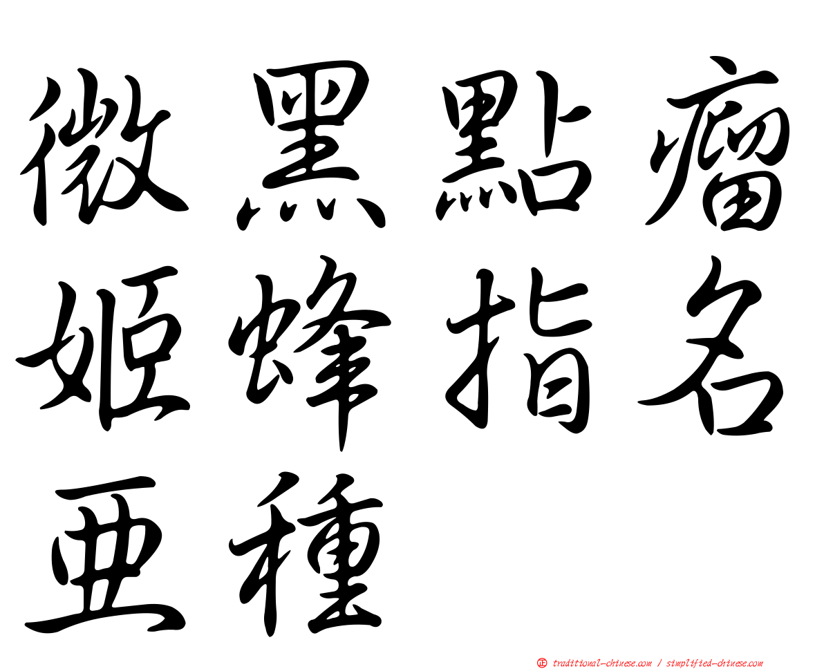 微黑點瘤姬蜂指名亞種