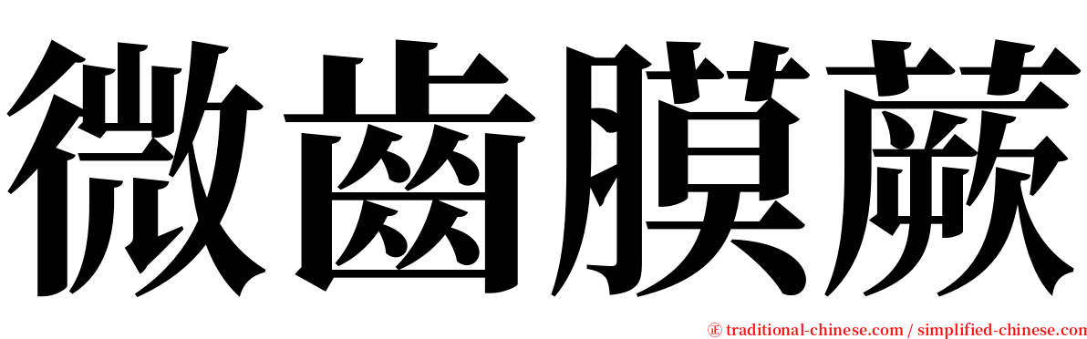 微齒膜蕨 serif font