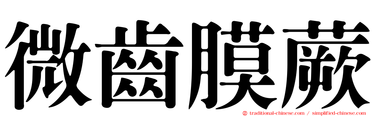 微齒膜蕨
