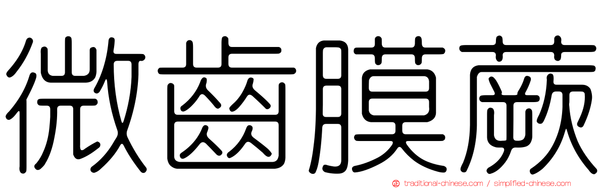 微齒膜蕨