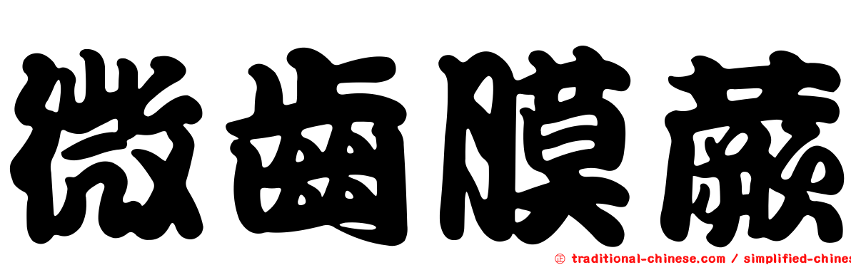 微齒膜蕨