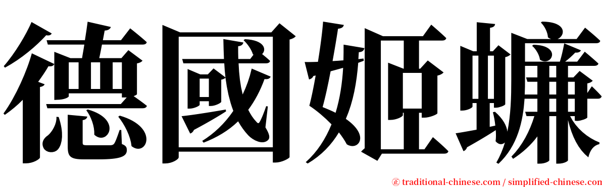 德國姬蠊 serif font