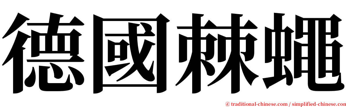 德國棘蠅 serif font