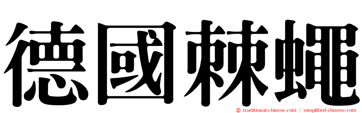 德國棘蠅