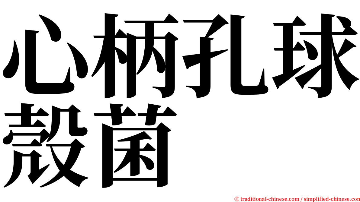 心柄孔球殼菌 serif font