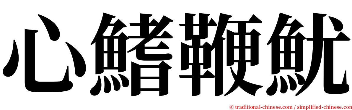 心鰭鞭魷 serif font
