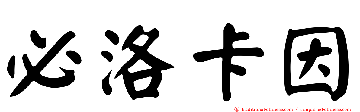 必洛卡因