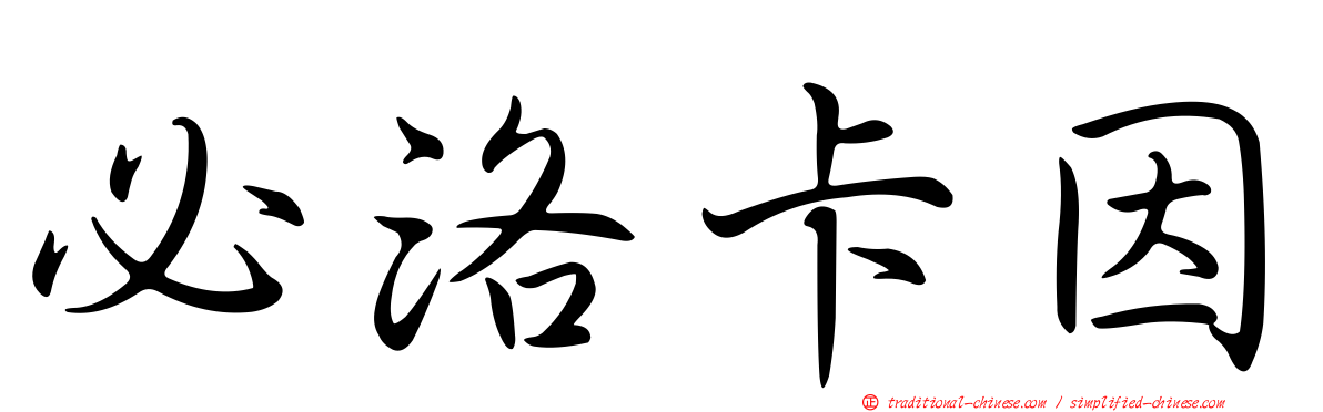 必洛卡因