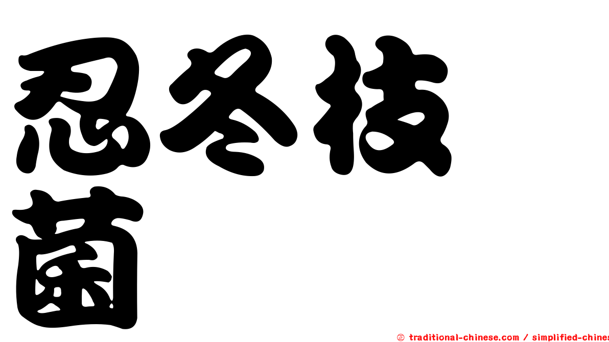忍冬枝孢菌