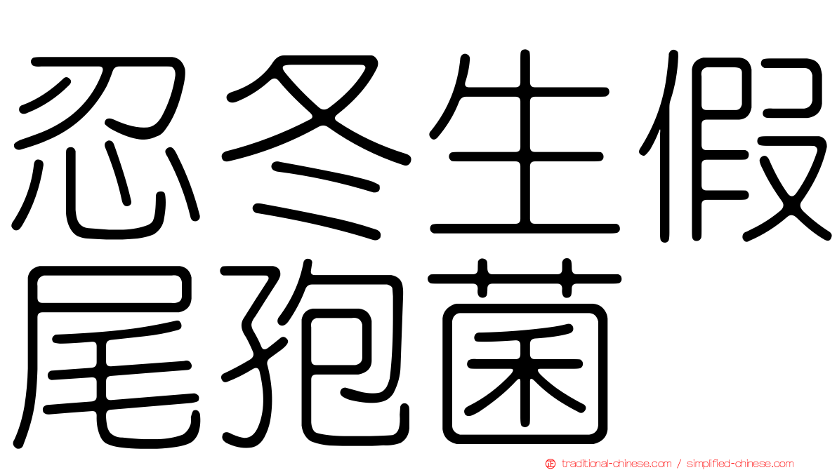 忍冬生假尾孢菌