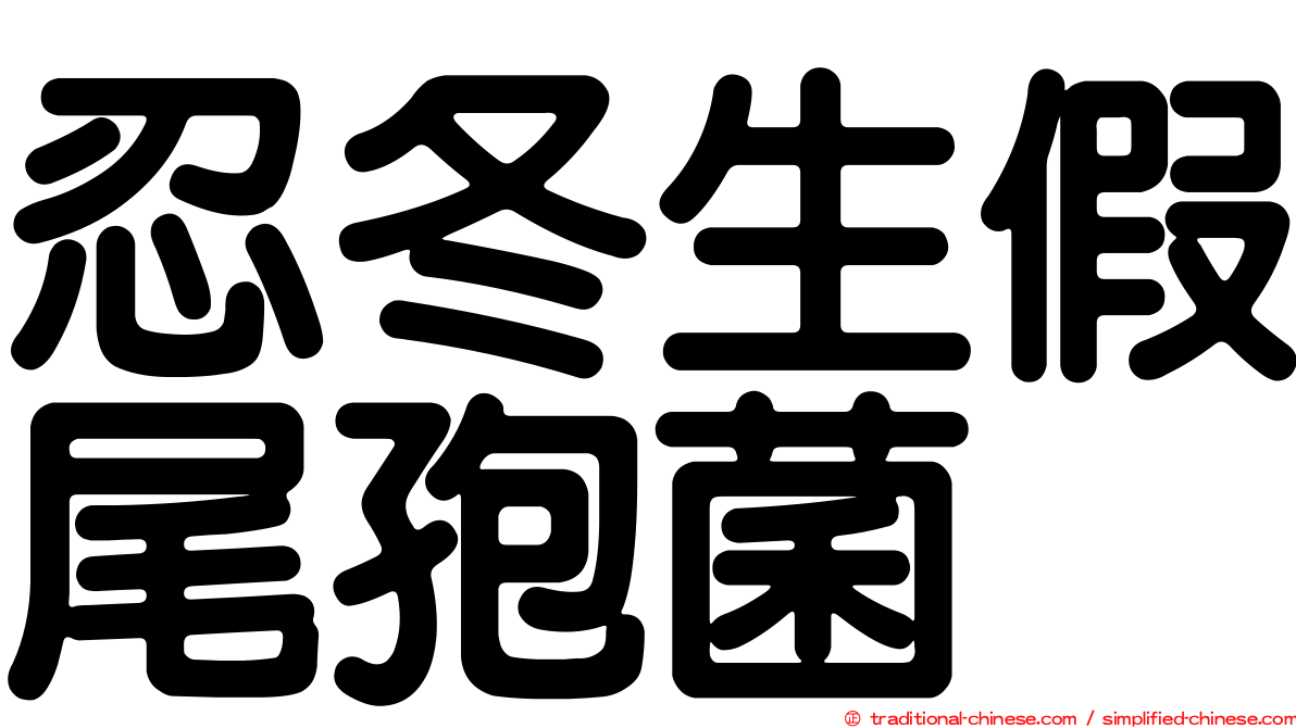 忍冬生假尾孢菌