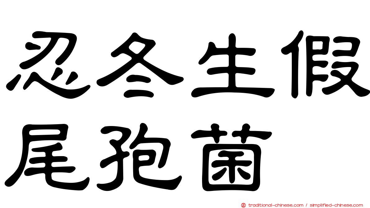 忍冬生假尾孢菌