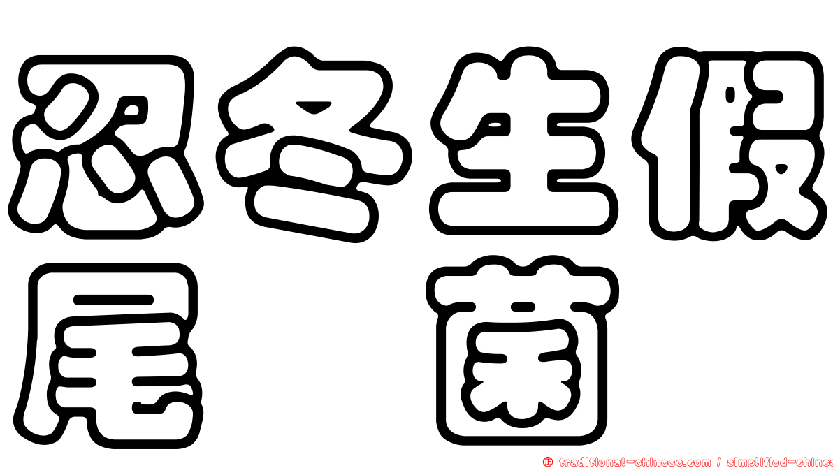忍冬生假尾孢菌