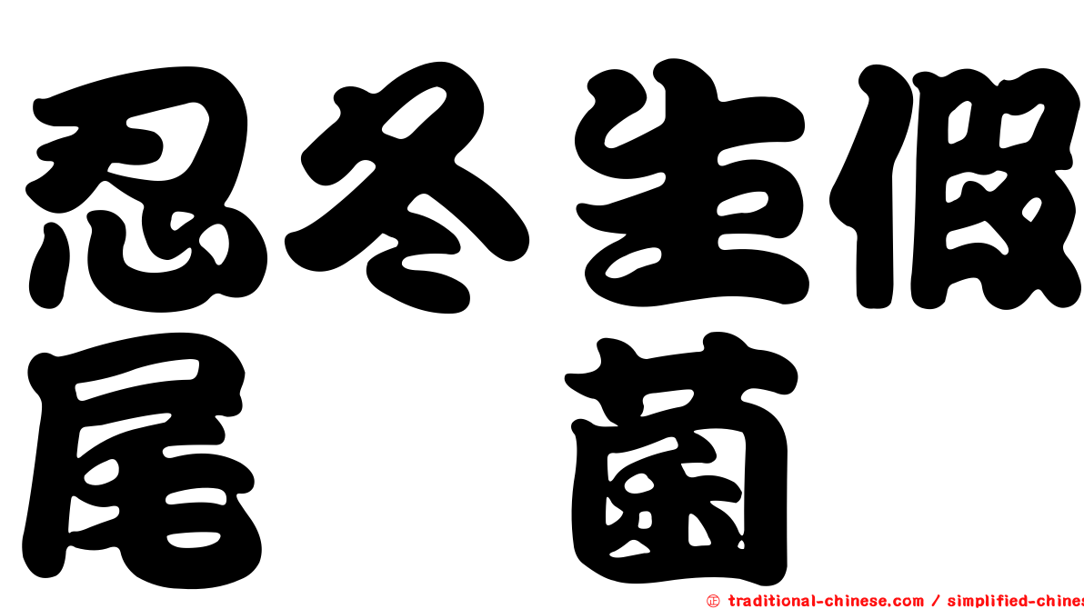 忍冬生假尾孢菌
