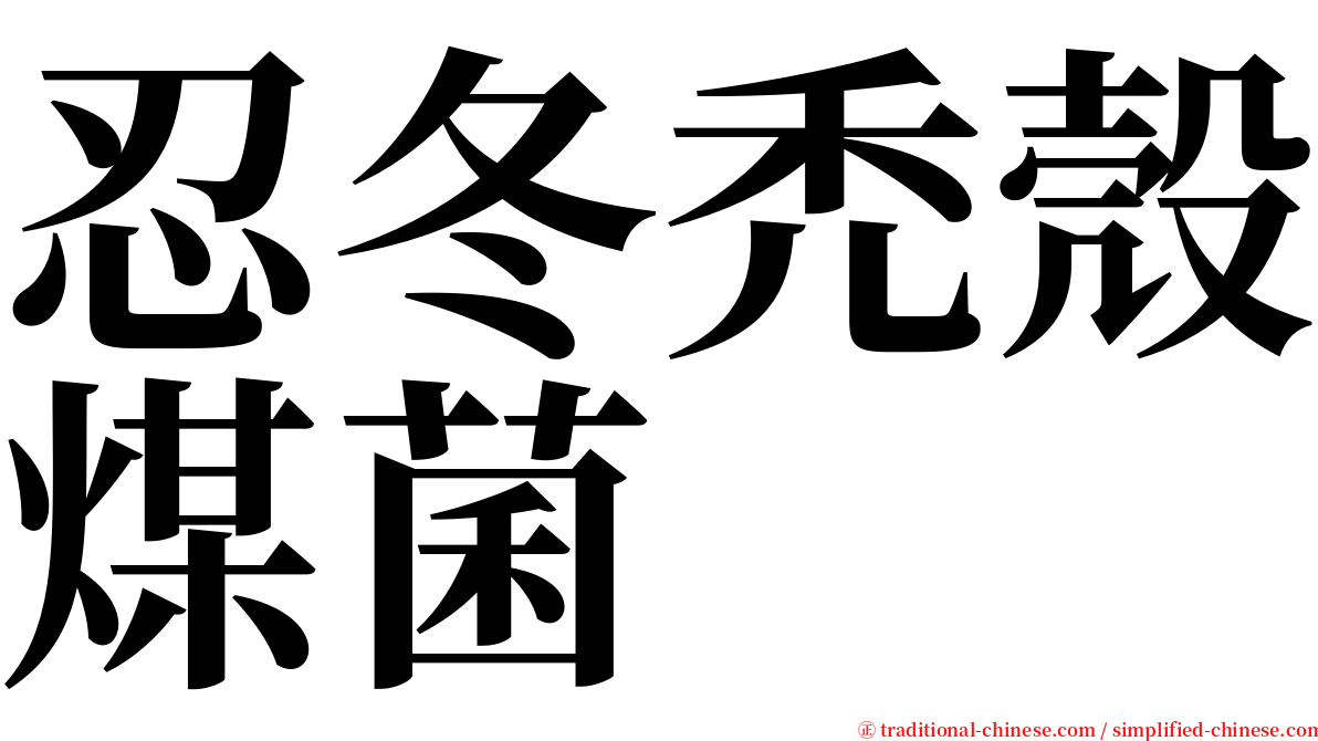 忍冬禿殼煤菌 serif font