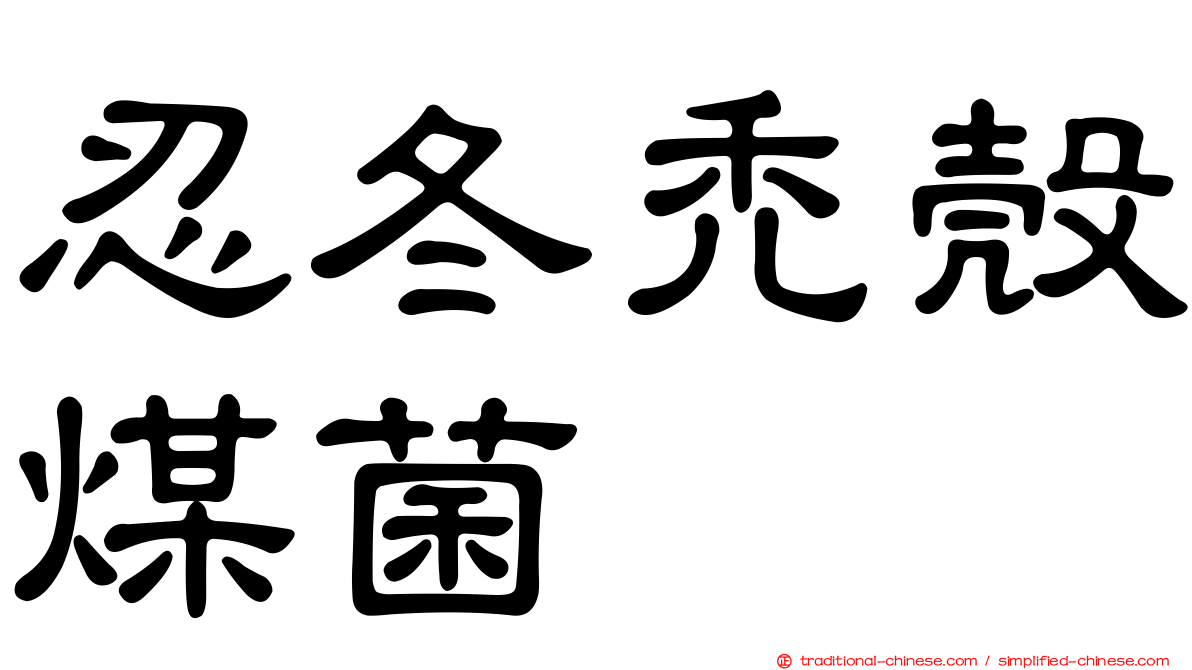 忍冬禿殼煤菌