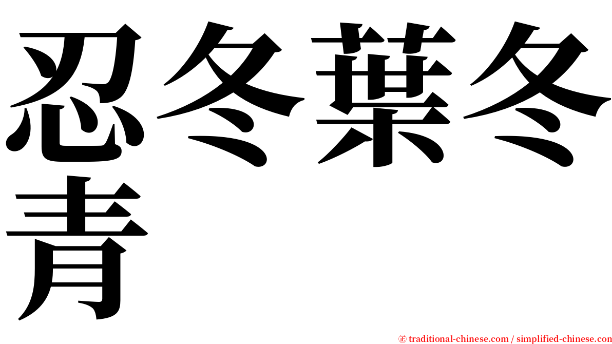 忍冬葉冬青 serif font