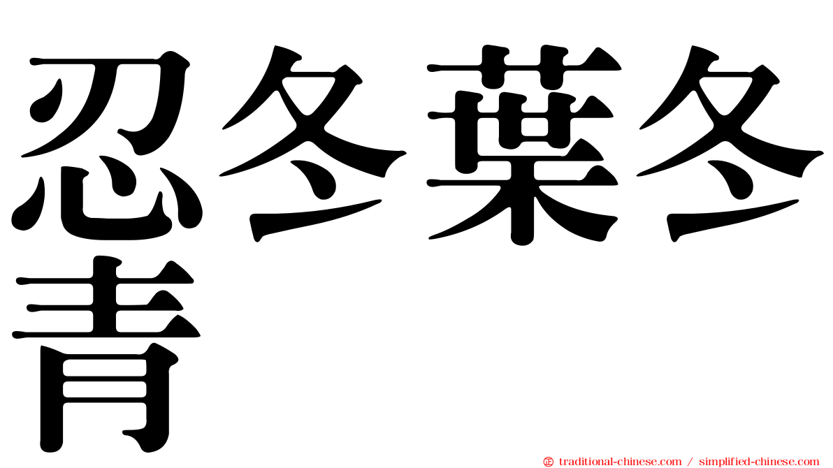 忍冬葉冬青
