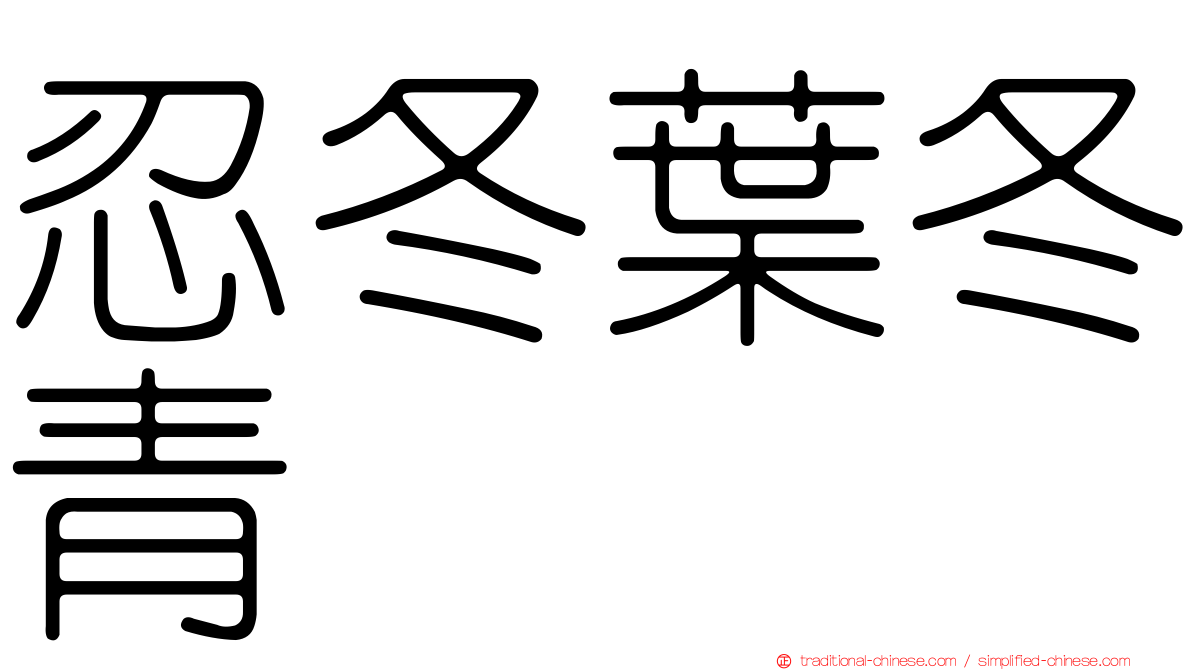 忍冬葉冬青