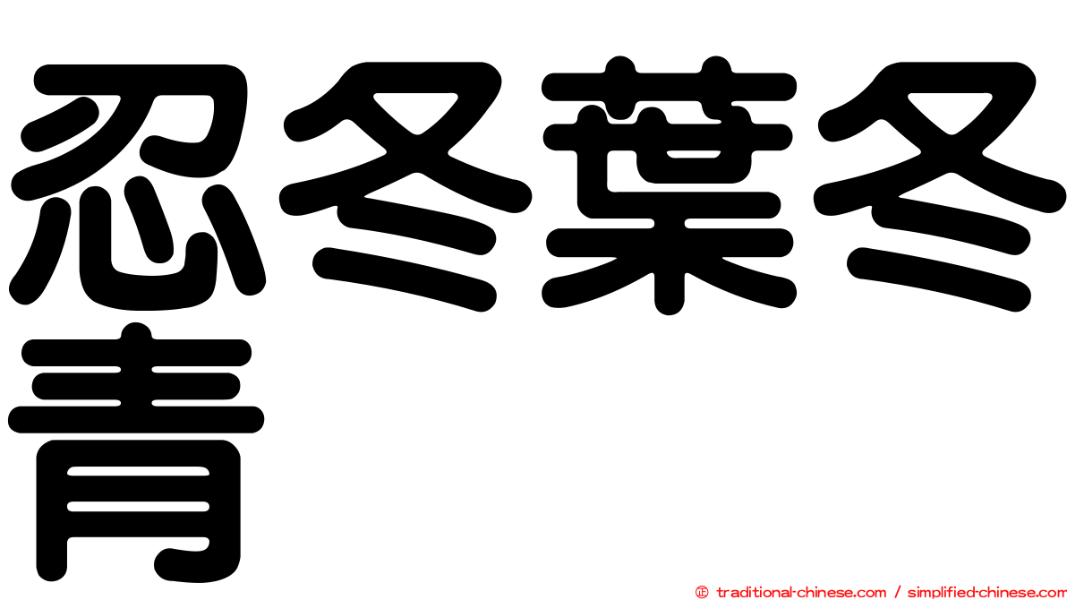 忍冬葉冬青