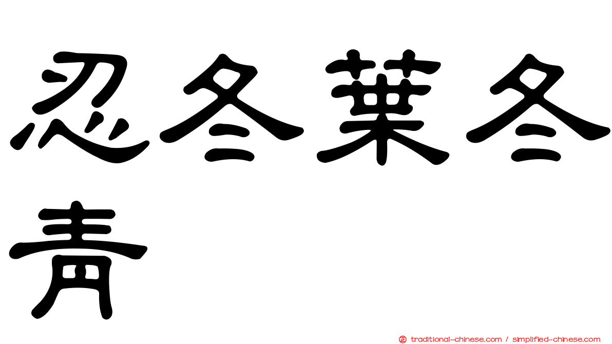 忍冬葉冬青