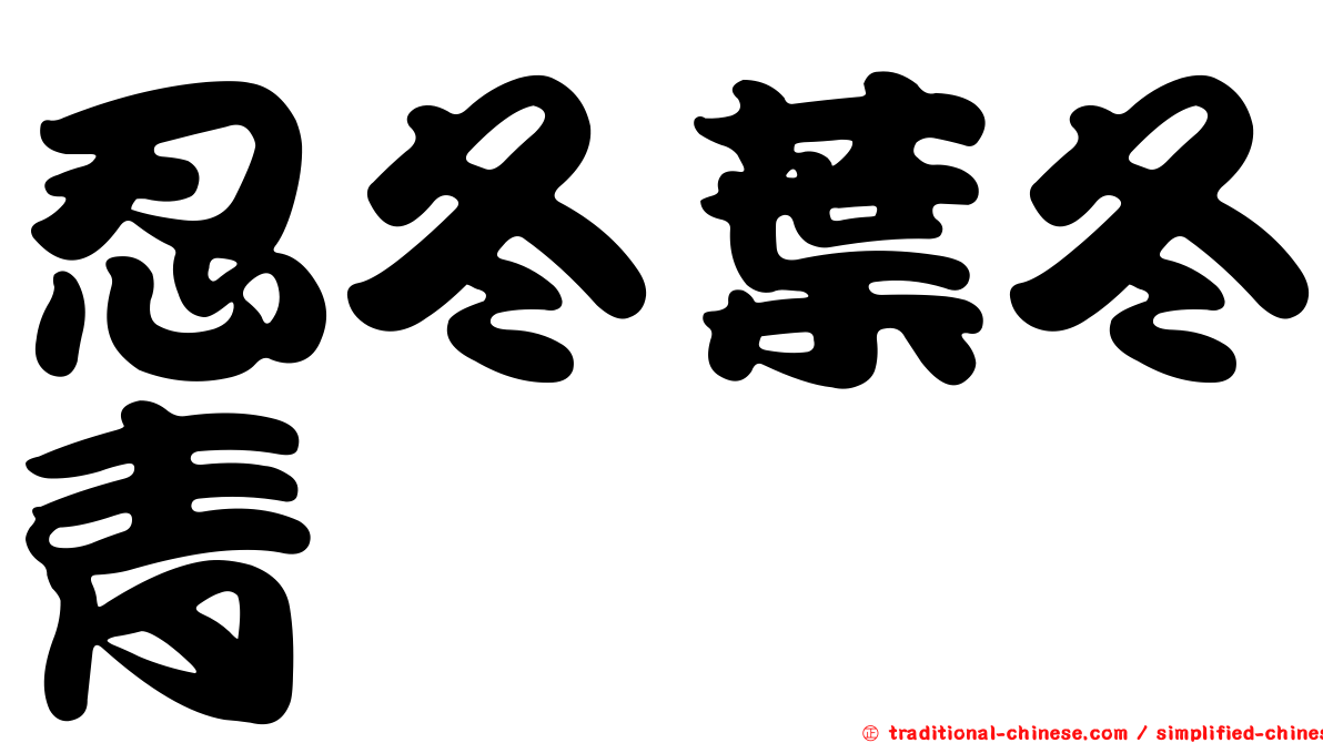 忍冬葉冬青