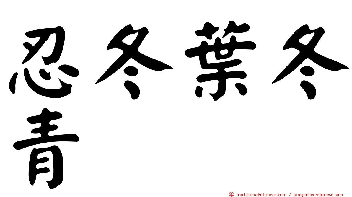 忍冬葉冬青