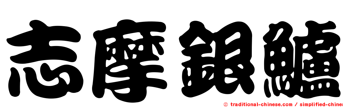 志摩銀鱸